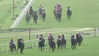 THE GREY GERANIUM with A R Pradeep up wins The Royal Calcutta Turf Club Trophy Div2 2024 RACE 97 [upl. by Gunning]