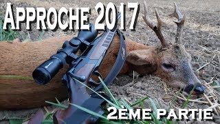 Approche 2017  Brocard 7 pointes et sanglier 117 kg   2 ème partie [upl. by Kandace]