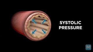 The difference between systole and diastole [upl. by Yleak]