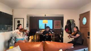 Landslide by Dixie Chics String Trio Version [upl. by Ambrosio]