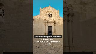 OTRANTO CATTEDRALE ARTE E CULTURA puglia salento arte shorts [upl. by Yvehc]