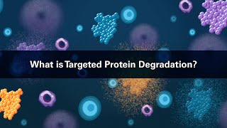 What is Targeted Protein Degradation [upl. by Einad270]