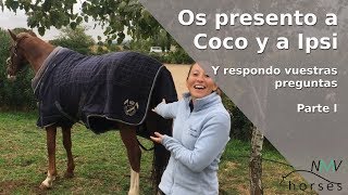 Os presento a Coco y a Ipsi I RESPONDO a vuestras preguntas I PARTE I [upl. by Enobe]