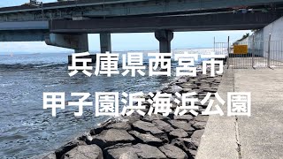 釣り場紹介 兵庫県西宮市 甲子園海浜公園 [upl. by Caressa422]