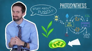 Photosynthesis Made Simple [upl. by Enaenaj]