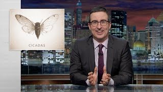 Cicadas Web Exclusive Last Week Tonight with John Oliver HBO [upl. by Richman]