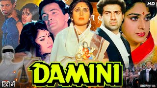 Damini Full Movie Hindi Review amp Facts  Meenakshi Seshadri  Sunny Deol  Rishi Kapoor Amrish Puri [upl. by Asirrom]