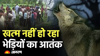 HINDI NEWS LIVE Bahraich Wolf Attack Terror। CM Yogi। Uttar Pradesh Update। Kolkata Murder Rape [upl. by Anirdnaxela59]