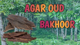 Agar Oud  Bakhoor [upl. by Chas410]