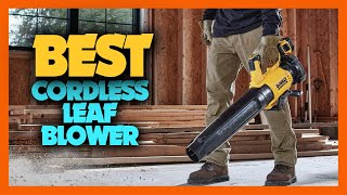 Top 10 Best Cordless Leaf Blower of 2024 [upl. by Eeuqram611]