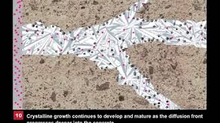 Xypex Concrete Waterproofing by Crystallization Animation [upl. by Avuha]