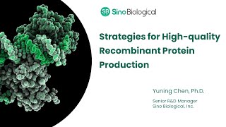 Strategies for Highquality Recombinant Protein Production [upl. by Holcman]