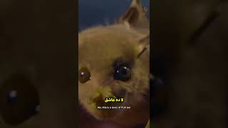 The TubeNosed Bat عجلة الطبيعة الغريبة والسرية [upl. by Jess]