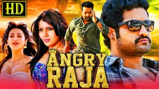 Angry Raja HD Romantic Hindi Dubbed Movie  Jr NTR Samantha Shruti Haasan [upl. by Htebarual]