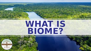 WHAT IS A BIOME  Enviromental Science  CATEGORIES OF BIOMES [upl. by Ravi374]