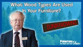 What Type of Wood is BEST for Me Hardwood vs Softwood vs Plywood [upl. by Nednerb686]