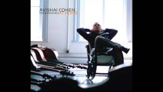 Avishai Cohen  Remembering [upl. by Htebsle]