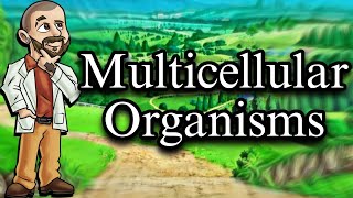 Understanding Multicellular Organisms [upl. by Elyod]