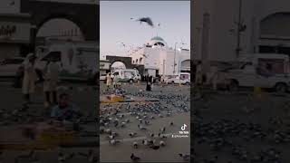 مدینہ عمرہ مکہالمکرمہ طواف عبادت vlog [upl. by Devehcoy]