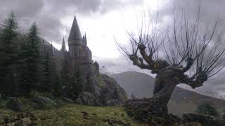 Secrets of the Castle Flute Solo Harry Potter [upl. by Enyad]