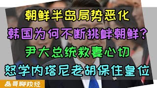 韩国总统尹锡悦为爱不顾一切！？朝鲜半岛局势恶化！韩国为何拼命挑衅朝鲜？尹锡悦竟然为了救深陷腐败案的塑料媳妇不惜发动战争！？韩国尹大总统怒学内塔尼老胡 [upl. by Asta]