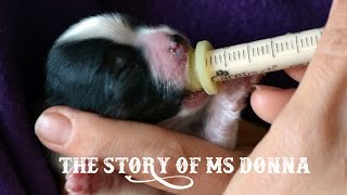 The Story of Ms Donna born with cleft lip [upl. by Ahsratan992]