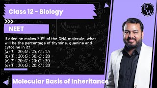 If adenine makes 30  of the DNA molecule what will be the percentage of thymine guanine and cy [upl. by Fornof835]