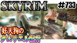 【SKYRIM】好天狗のタムリエル紀行 アーニエルの企て【733】 [upl. by Cirenoj]