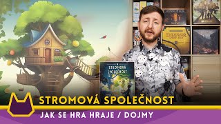 🌳Stromová společnost  pravidla hry a dojmy [upl. by Anwahsed]