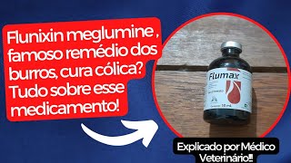 Flunixin ou banamine é um bom antiinflamatório Como deve ser usado Explicado por Médico Vet [upl. by Epner]