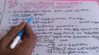 degree telugu zoology nonmendelian inheritance complementary gene 97IVsem [upl. by Marzi]