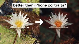 Portrait Mode on any iPhone  Improve Your Photos with Focos App  Day 3 [upl. by Schargel]