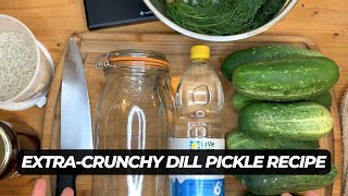 How to Make Extra Crunchy Dill Pickles  Easy VinegarBased Recipe [upl. by Lalitta]