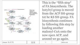 Biochemistry  20 Carbohydrate Biosynthesis in Plants and Bacteria  Flashcards [upl. by Frankhouse759]