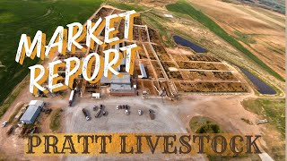 Steve Stratford Market Report for Pratt Livestock  Thursday Sept 19 2024 [upl. by Duyne]