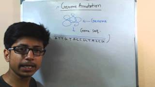 Genome annotation [upl. by Alage]