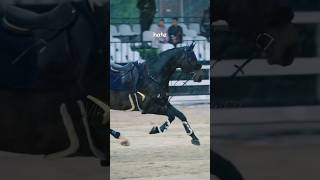 Sometimes i feel that some songs were made for equestrians🤧🥹 horse edit shorts [upl. by Ik]