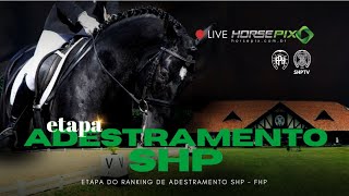 PISTA 2  6ª ETAPA RANKING DE ADESTRAMENTO SHP  Horsepix [upl. by Attenej714]