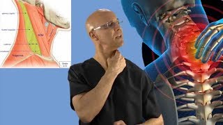 90Second Relief Technique for a Stiff Neck Wry Neck Torticollis  khabar station [upl. by Naud675]