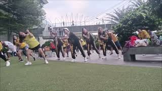 DIBBY DIBBY  DJ Fresh vs Jay Fay  Zumba Dance Fitness  Gielie Zumba [upl. by Tnomyar628]