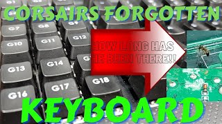 Lets replace 122 soldered keyboard switches on an old Corsair keyboard [upl. by Erbes]