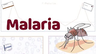 Malaria Patogenesis Tanda Gejala Tatalaksana [upl. by Lohman]