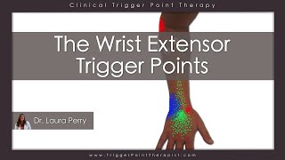 The Wrist Extensor Trigger Points [upl. by Arbma]