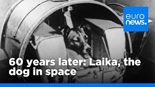 60 years on  Laika the dog in space  euronews 🇬🇧 [upl. by Song]