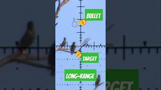 Unreal Airgun Accuracy  FX Impact  Best PCP Airguns in the world  FX Airguns [upl. by Llecrad182]