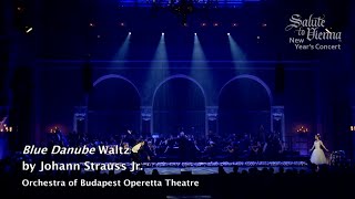 Blue Danube Waltz Johann Strauss II  Salute to Vienna amp Budapest [upl. by Hauger517]