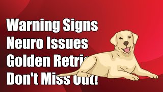 Dont Miss These Warning Signs of Neuroimmunological Disorders in Golden Retrievers [upl. by Noremac]