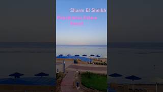 Найкращий вид із номера 💫 travel albatros shots sharmelsheikh beachhotel sea beach спогади [upl. by Rogozen]