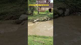 Hochwasser Eggersdorf bei Graz  der Tag danach  09062024 hochwasser unwetter [upl. by Ayikin]