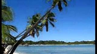 Fijian Song and Lyrics  Seni Mokosoi  Toberua Serenaderswmv [upl. by Nyllek]